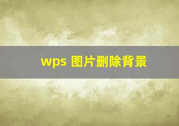 wps 图片删除背景